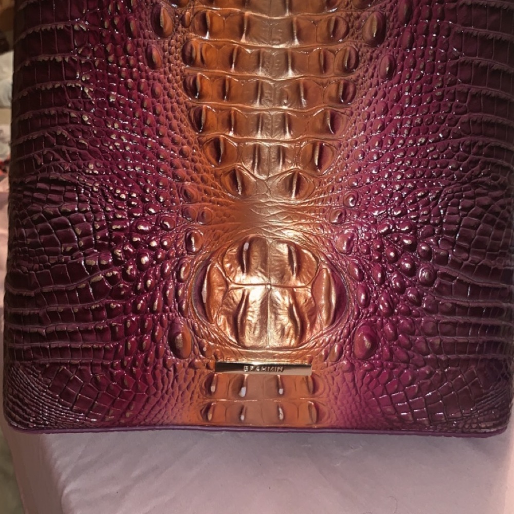 Large multi color Brahmin - Picture 6 of 7